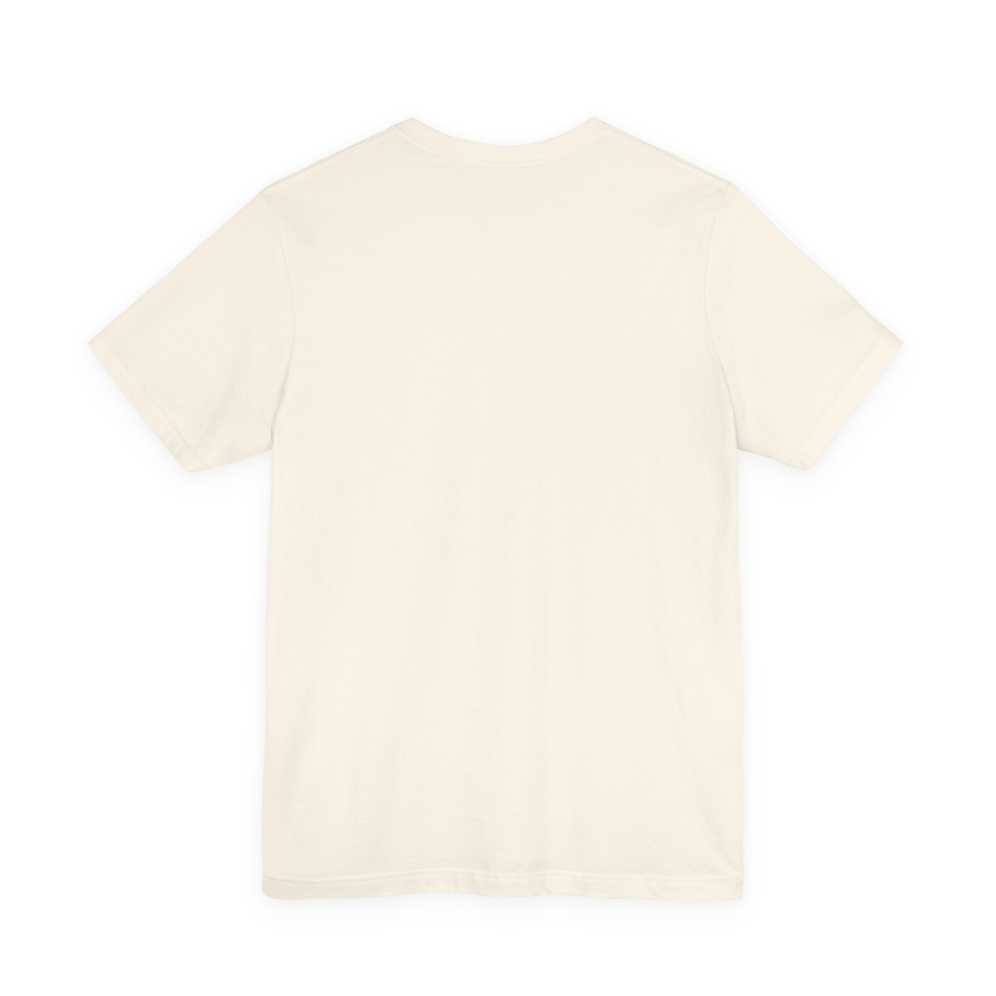 Bitcoin Halving World Tour Tee | Bella Canvas 3001