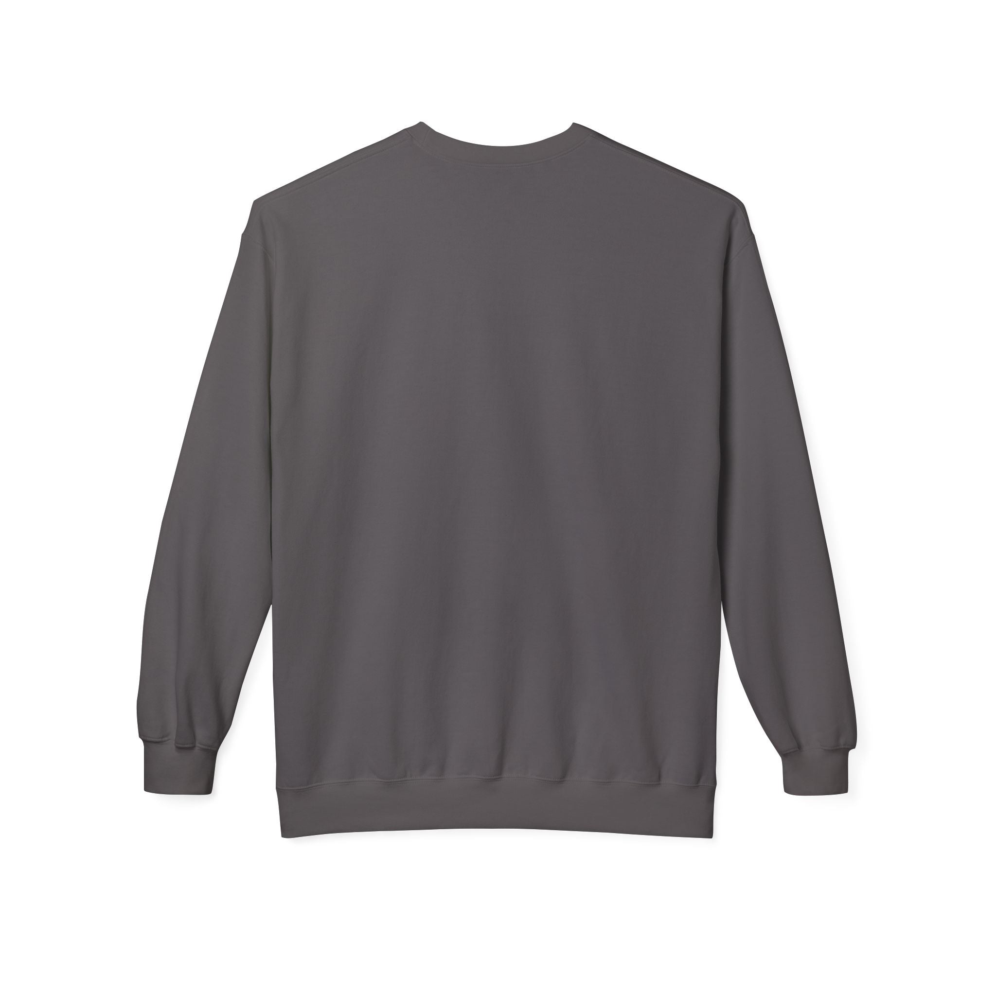 Bitcoin Miner Space Heater Club Sweatshirt | Mining for Heat | Gildan SF000