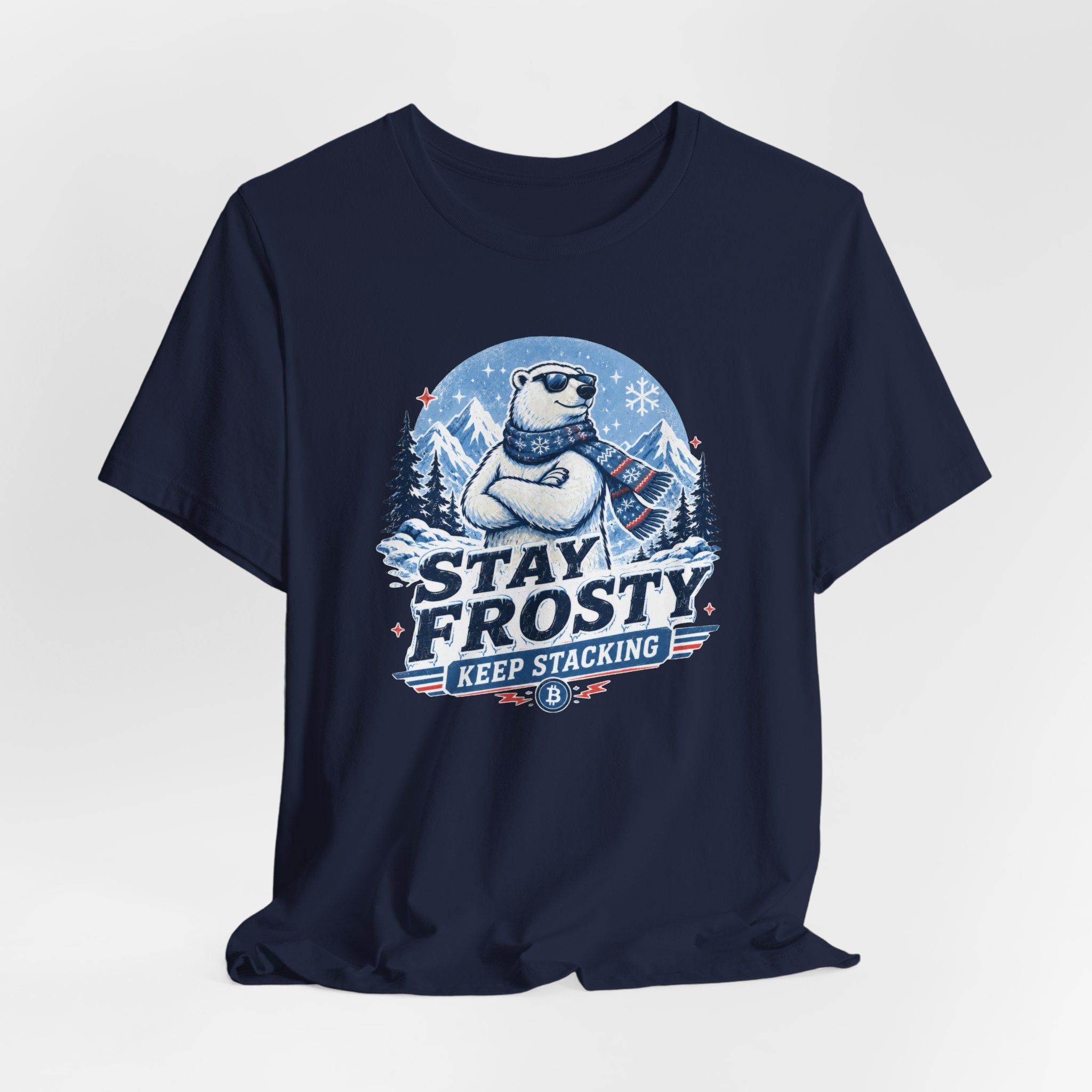 Stay Frosty, Keep Stacking Bitcoin T-Shirt | Bella Canvas 3001