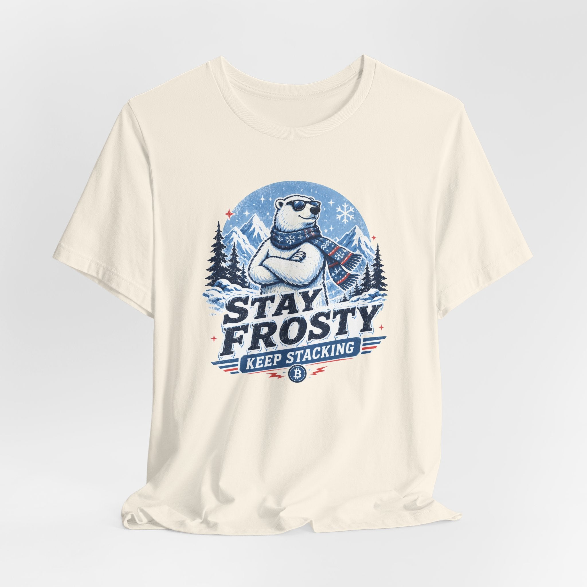 Stay Frosty, Keep Stacking Bitcoin T-Shirt | Bella Canvas 3001