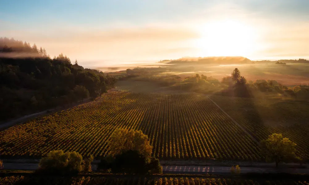 Sonoma County, California Wine Country HD Metal